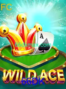 Desvendando WildAce: O Novo Fascínio dos Jogos em 2023